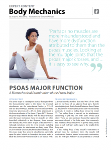 2013 psoas major
