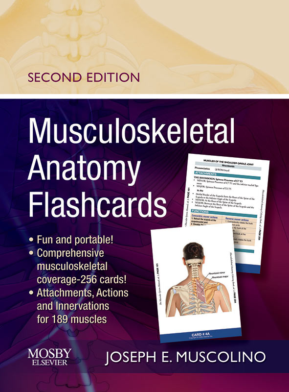 flashcards-anatomy