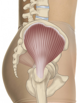gluteusmed
