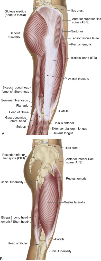 Lateral views of the right lateral thigh, superficial and deep. Permission: Joseph E. Muscolino. The Muscle and Bone Palpation Manual (2016), Elsevier.