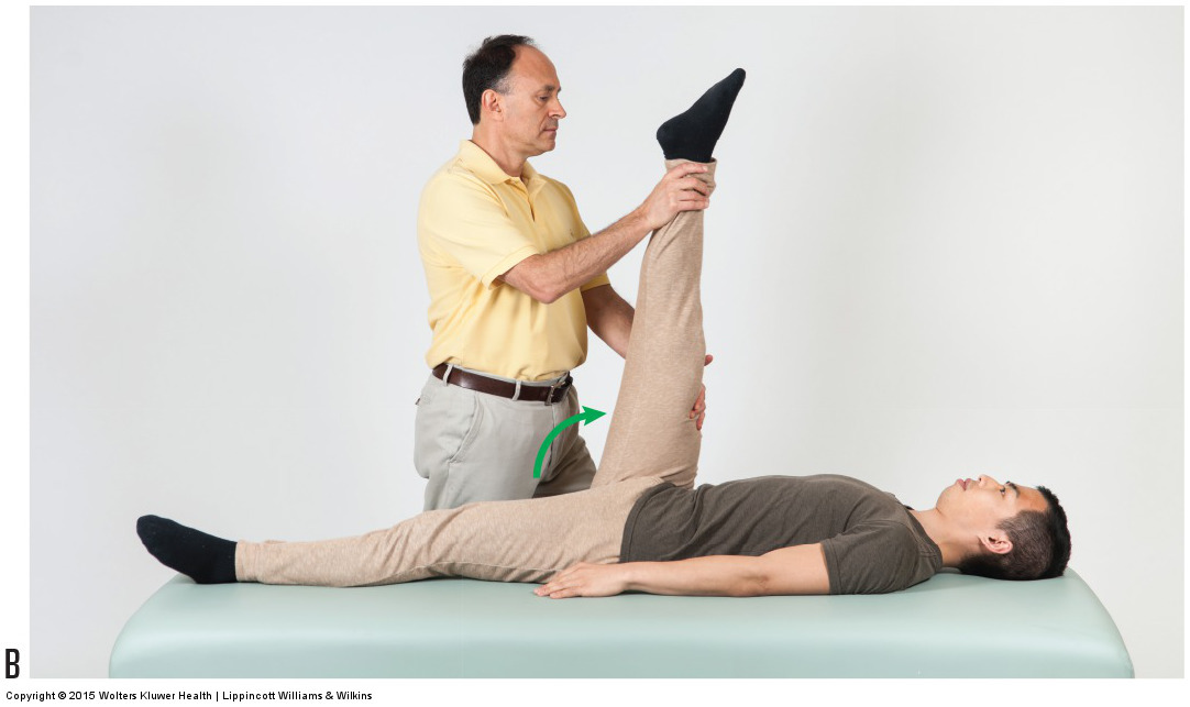 Passive straight leg raise orthopedic test. Permission: Joseph E. Muscolino. Manual Therapy for the Low Back and Pelvis (2015).