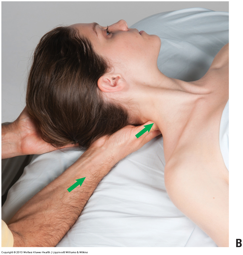 Using the core to generate deep pressure massage into the neck. Permission: Joseph E. Muscolino. Advanced Treatment Techniques for the Manual Therapist: Neck (2013).