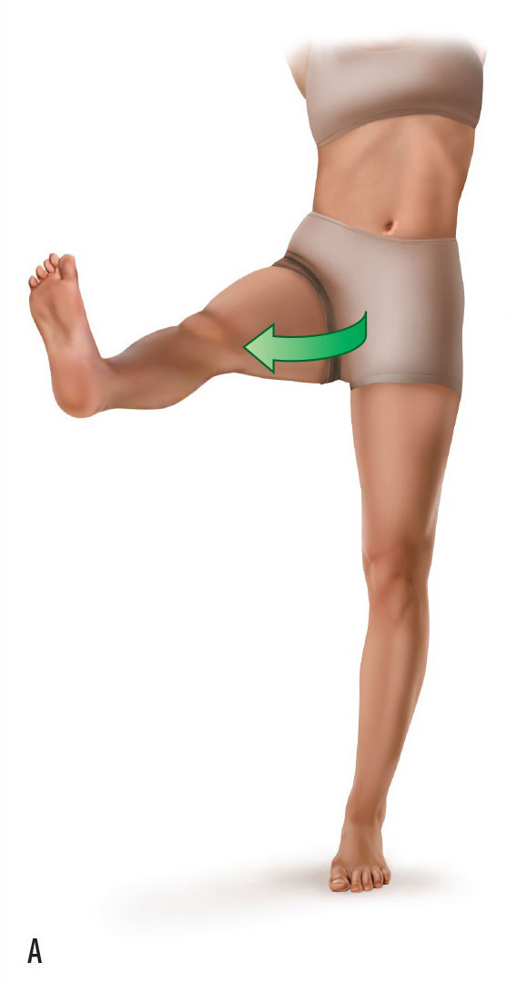 Hip joint horizontal flexion and horizontal extension