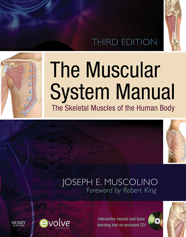 An illustrated atlas of the skeletal muscles 4th edition pdf Home Study Courses Learn Muscles